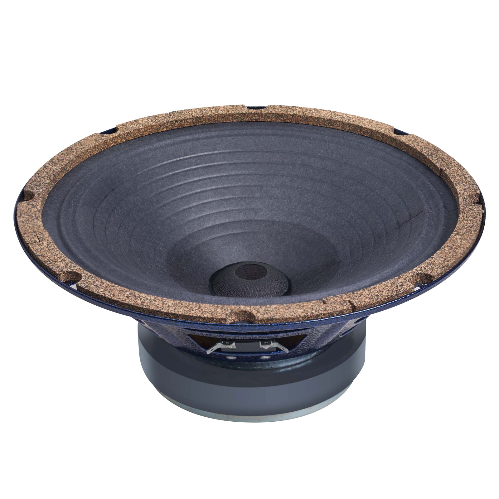 Jupiter M10C Fender Princeton Reverb 